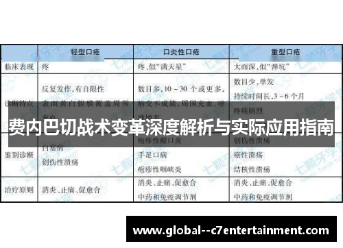 费内巴切战术变革深度解析与实际应用指南 费内巴切战术变革深度解析与实际应用指南