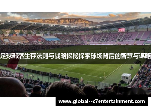 足球部落生存法则与战略揭秘探索球场背后的智慧与谋略