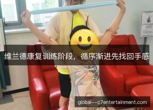 维兰德康复训练阶段，循序渐进先找回手感